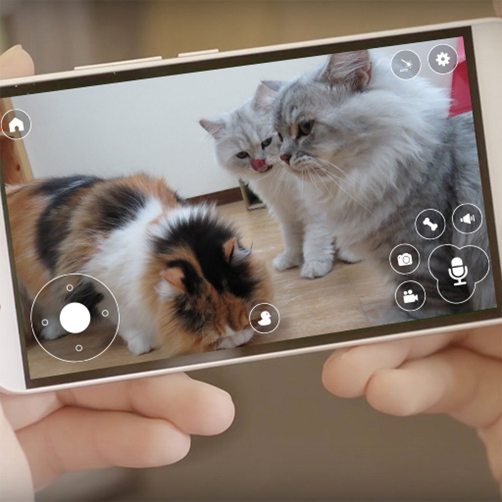 PAWBO寵物互動攝影機–看得見的陪伴
