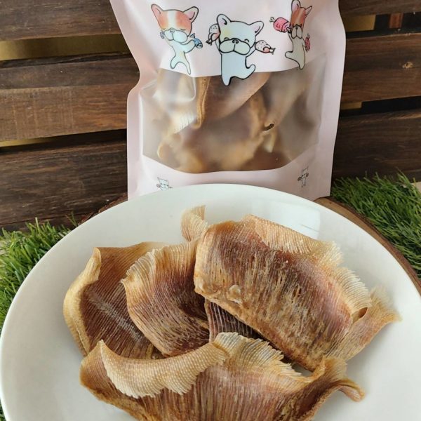 萌老大魚鰭軟骨
