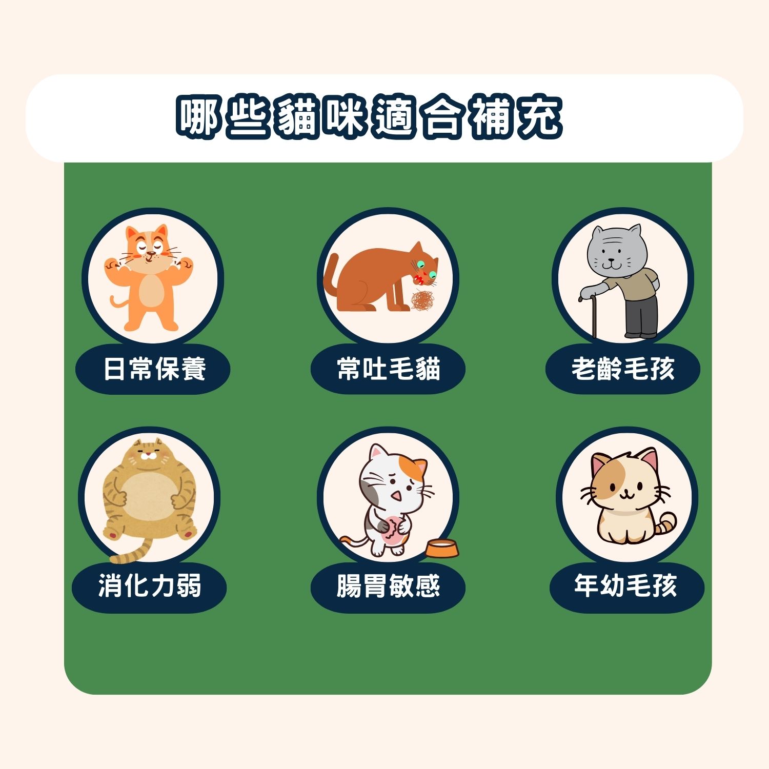 超汪寵物 【喵一日】- 6合1 貓咪全方位保健營養粉 寵物保建品 寵物健康