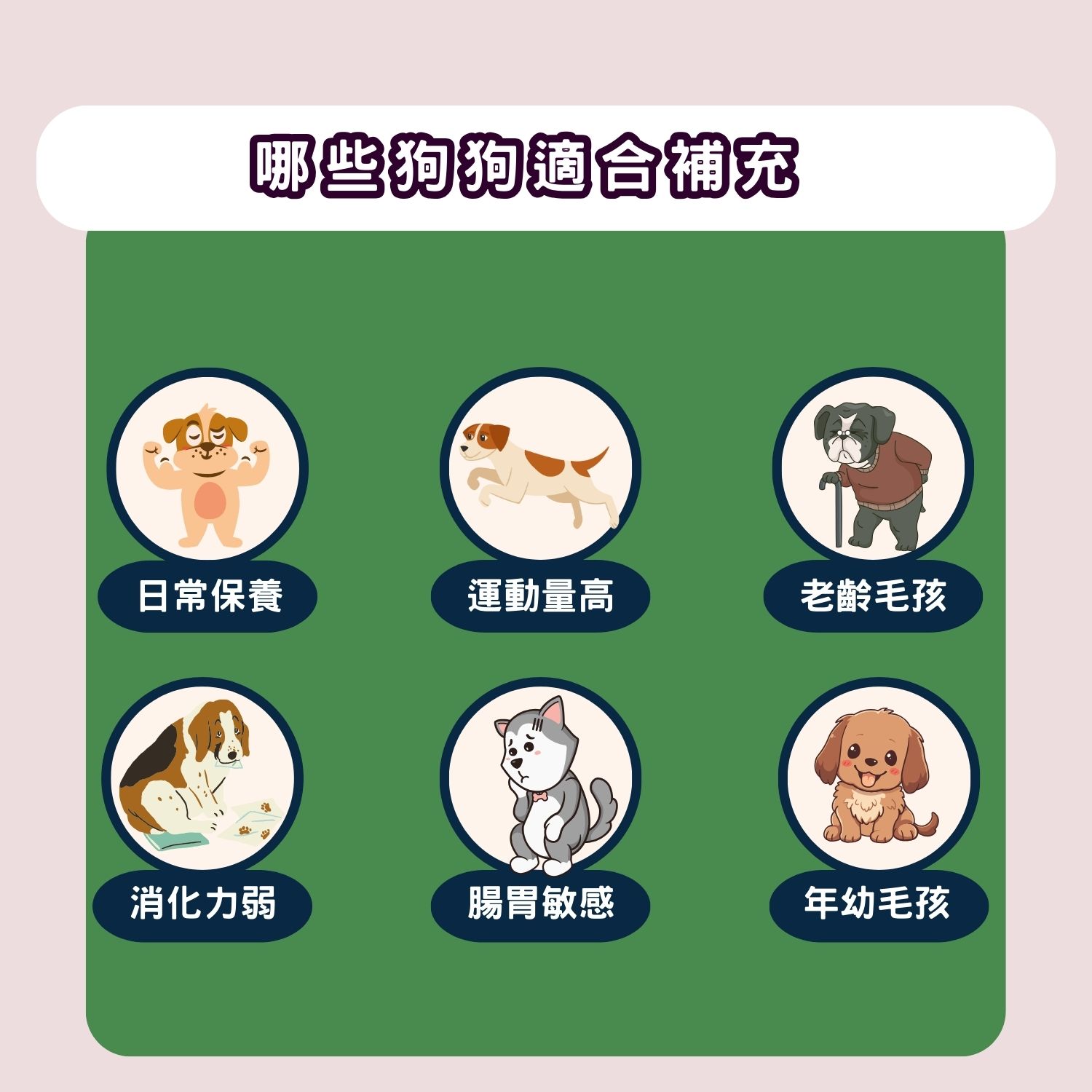 超汪寵物 【犬一日】- 6合1 狗狗全方位保健營養粉