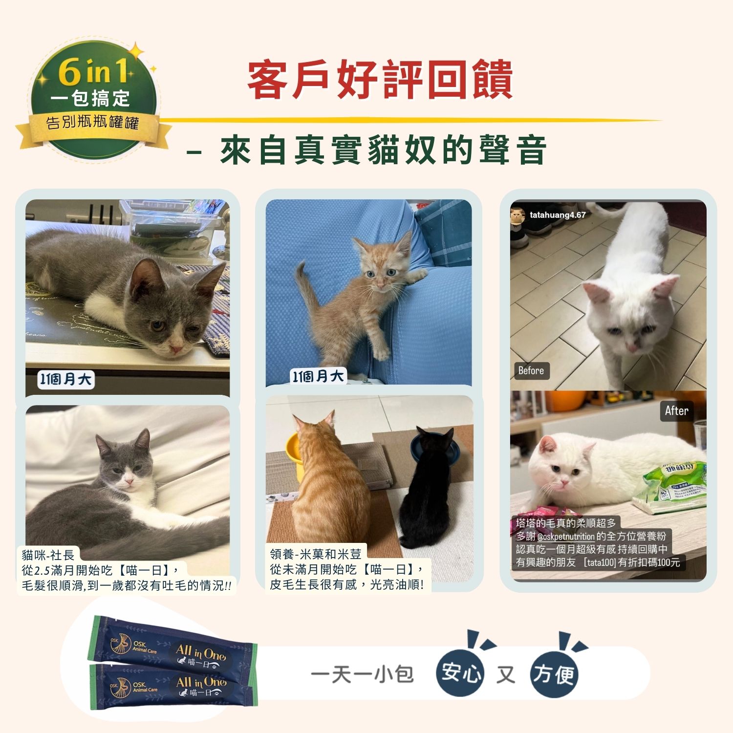 超汪寵物 【喵一日】- 6合1 貓咪全方位保健營養粉 寵物保建品 寵物健康