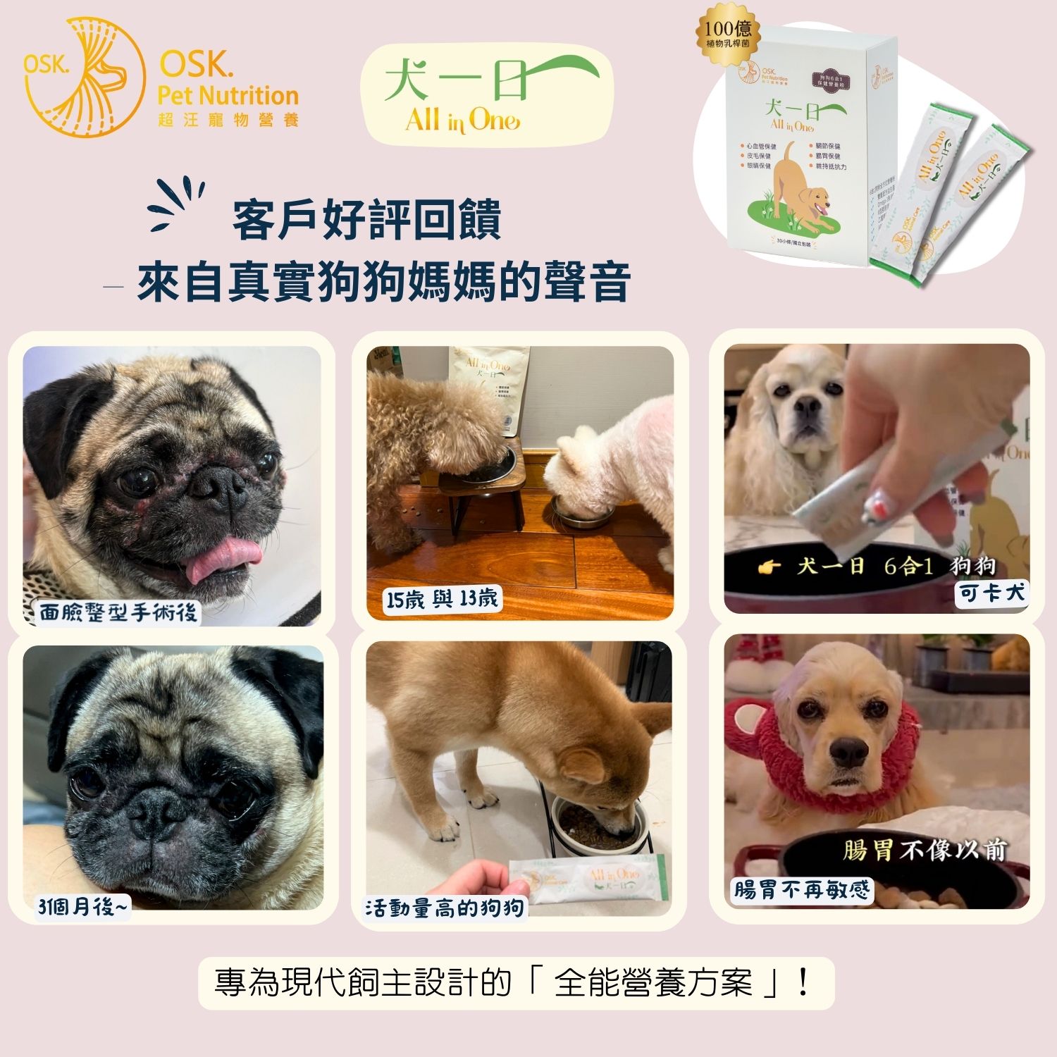 超汪寵物 【犬一日】- 6合1 狗狗全方位保健營養粉