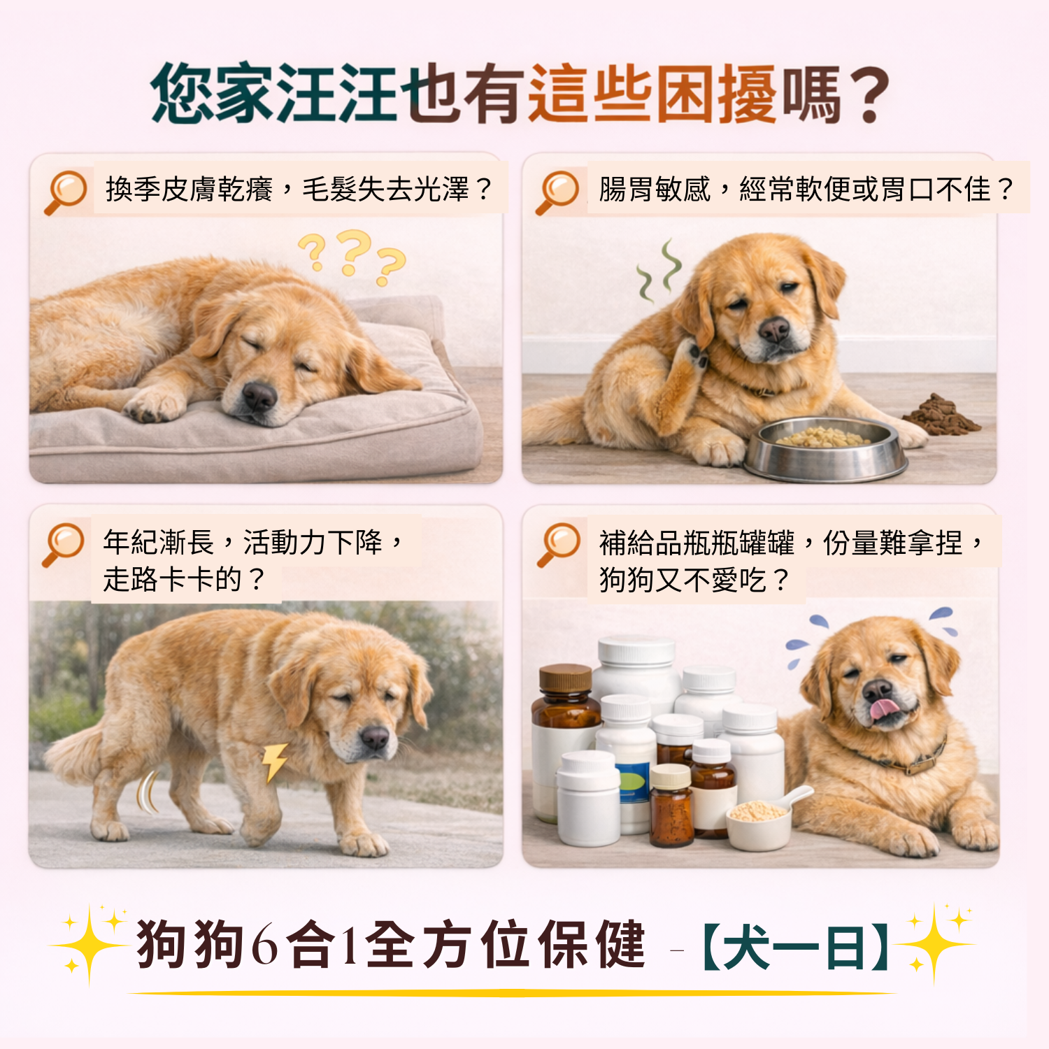 超汪寵物 【犬一日】- 6合1 狗狗全方位保健營養粉 寵物保健品 寵物益生菌