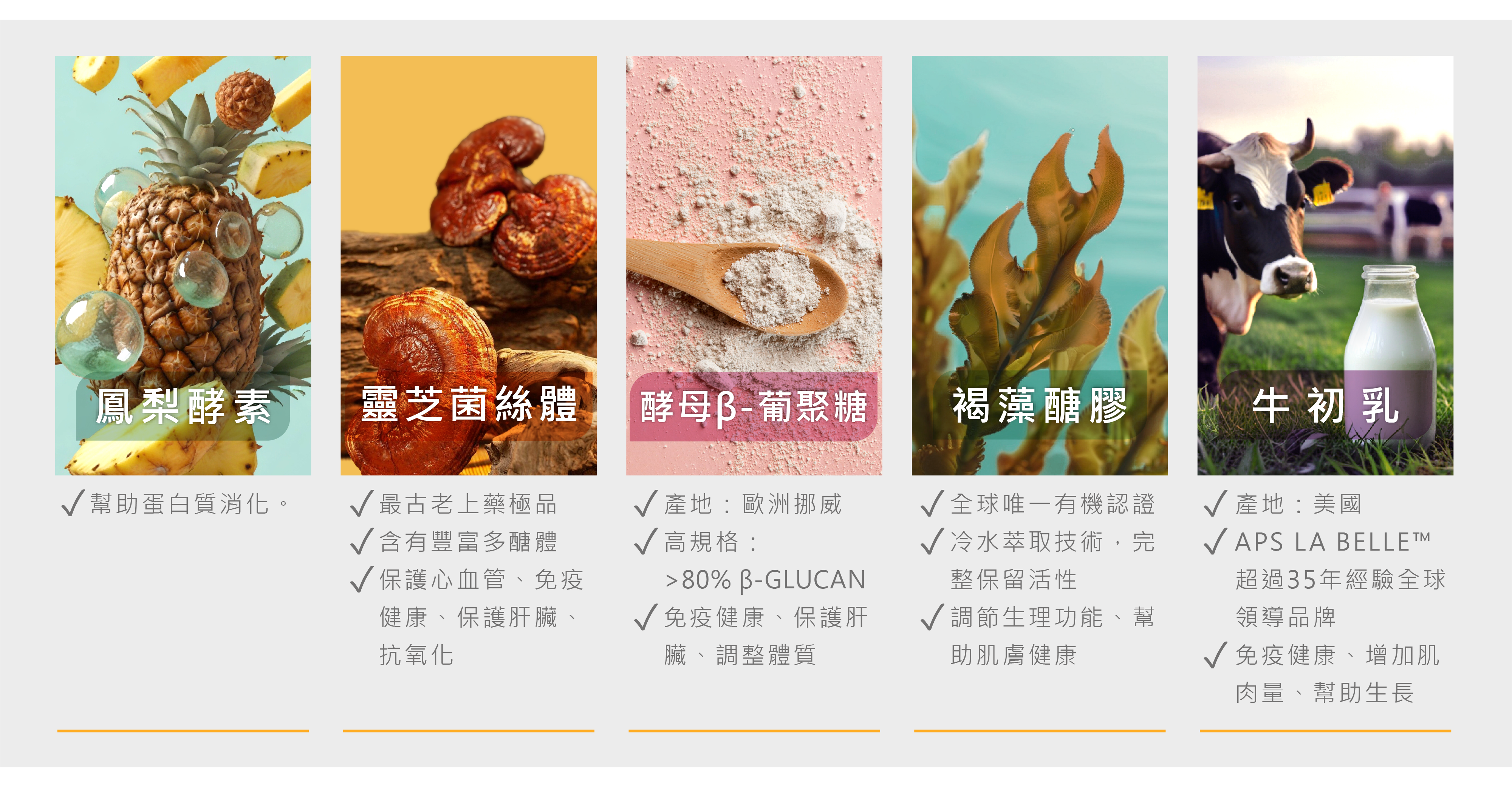 皮特灣灣 免疫保健喵汪益生菌 寵物保健食品