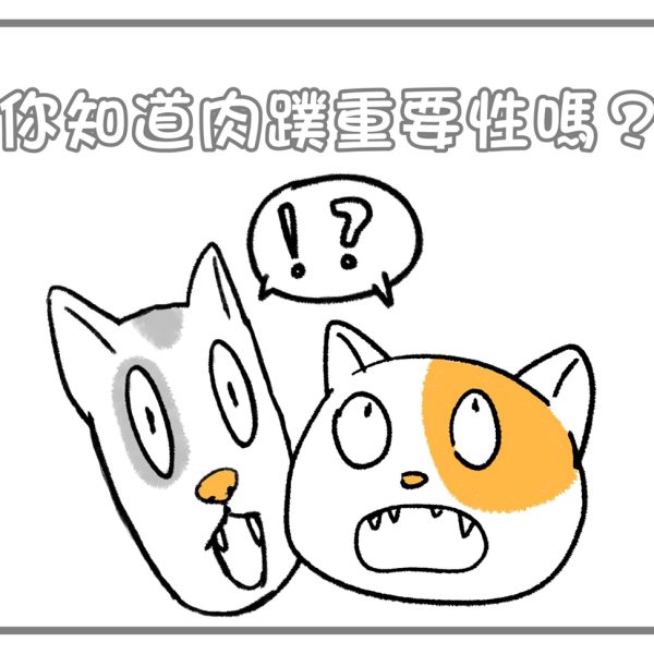 皮特灣灣 爪抓滋養霜 寵物皮膚保養