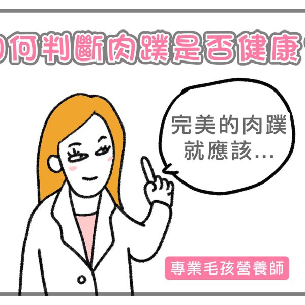 皮特灣灣 爪抓滋養霜 寵物皮膚保養